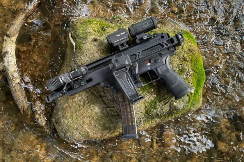 Kuna folding brace on mossy rock