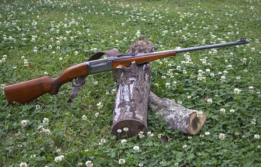 savage 99 rifle full view