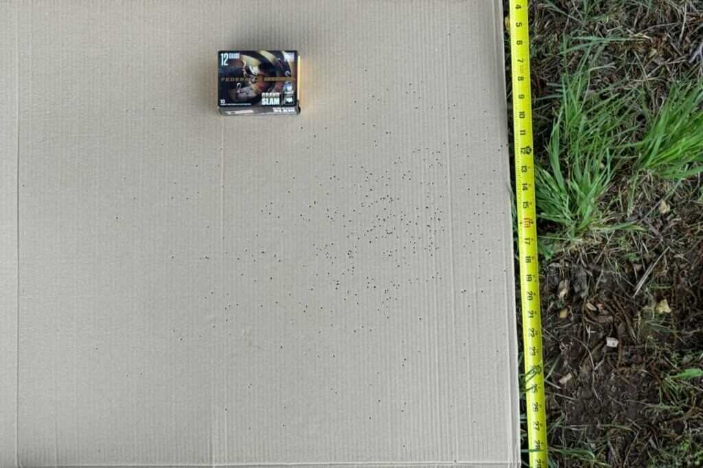 shotgun pattern on cardboard at 30 yards