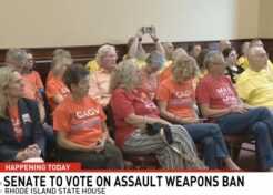 Gun control advocates show up in support of the ban.