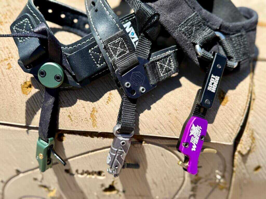 clips on a harnesses 