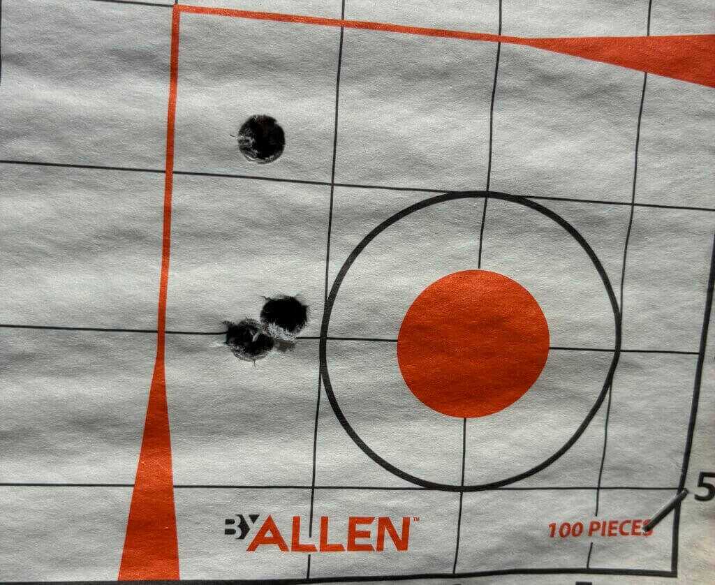 Weatherby 307 Range XP target with Federal 175 ELDX