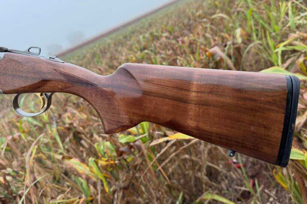 shotgun stock