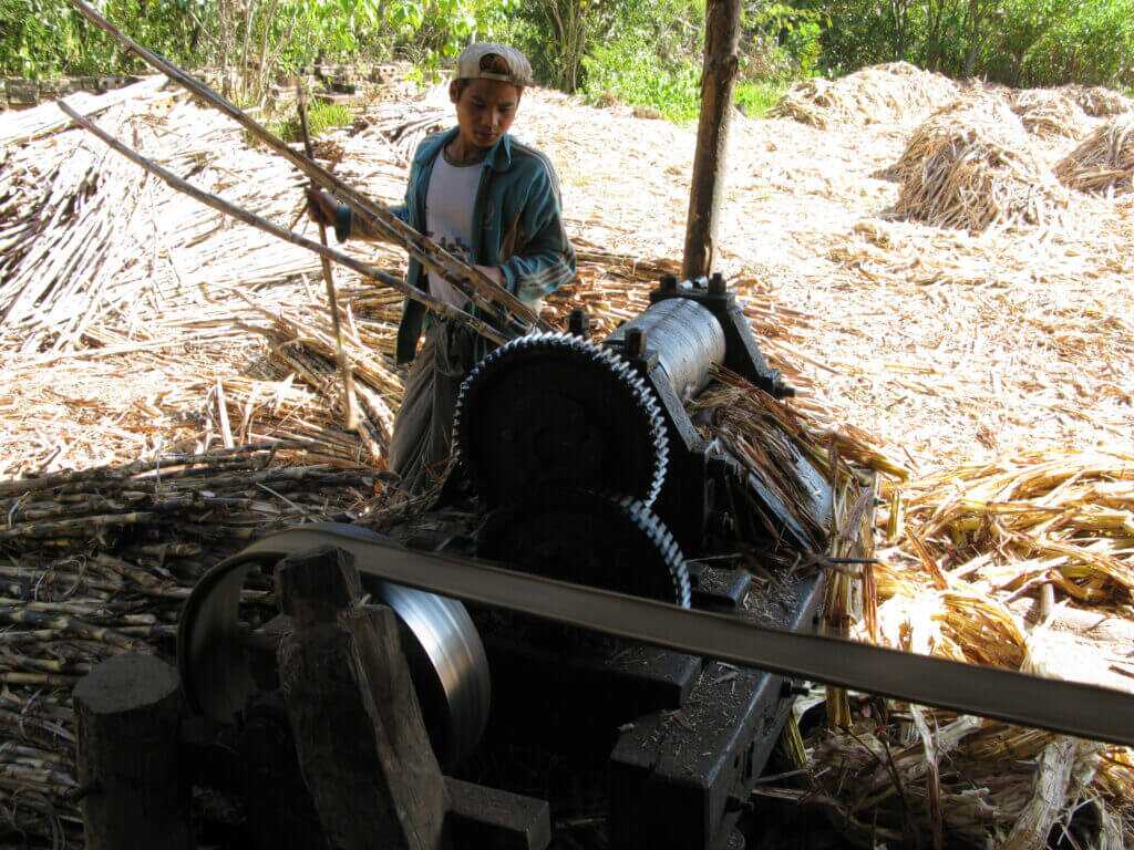 Traditional sugarcane press similar to the machine from Pedro’s early near killing