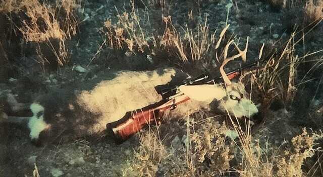 Second Texas mule deer harvested with the Weatherby Mark V custom 300 win mag rifle