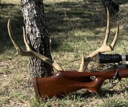 First Texas mule deer taken with the custom Weatherby Mark V hunting rifle