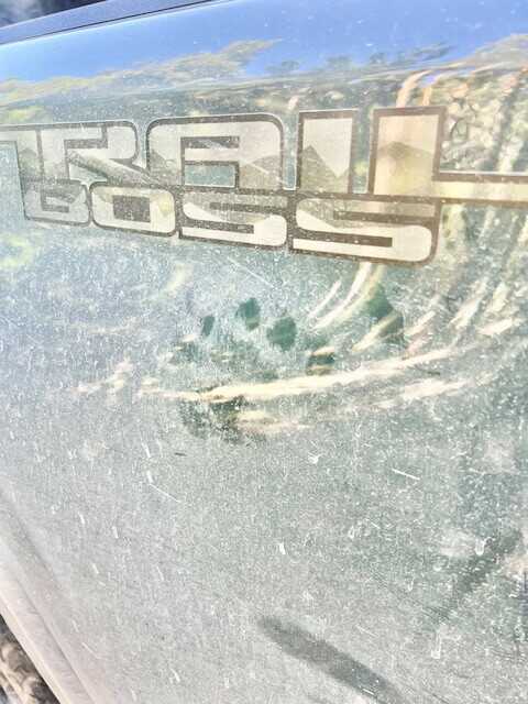 Detail of claw marks and torn weatherstripping from bear break in on Silverado door frame