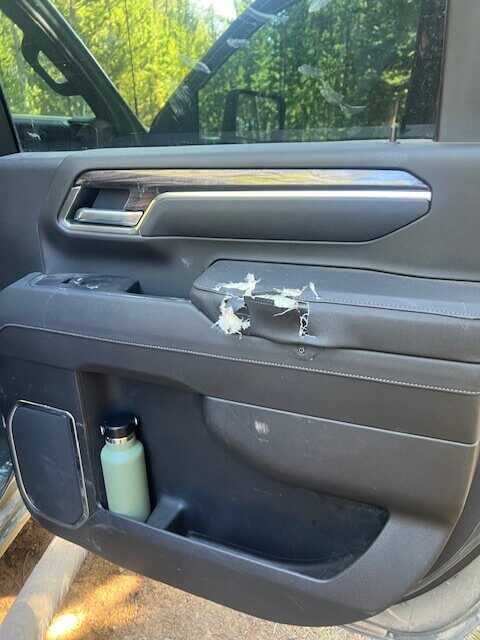 Rear seat area torn apart by black bear, foam chunks and wiring exposed in 2025 Silverado