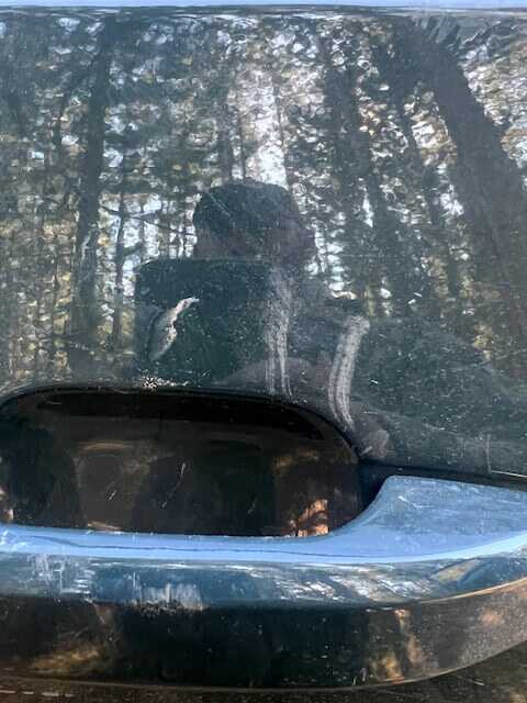 Roof and hood of Silverado streaked with claw scratches from black bear climbing over vehicle