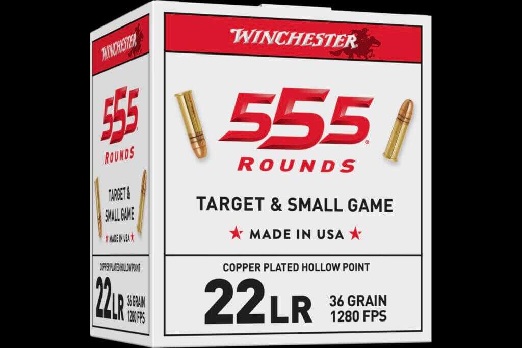 Winchester 555 round 22LR bulk pack copper plated hollow point ammunition on white background