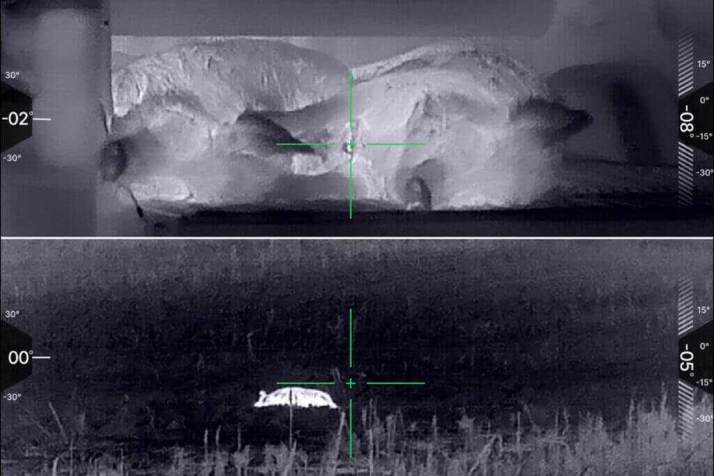 IOL25 thermal captures showing pigs at 10 yards and 60 yards during testing