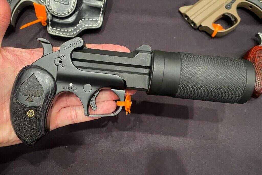 Third Echelon suppressed Bond Arms derringer