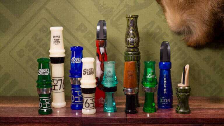 Photo of all the calls standing a shelf.