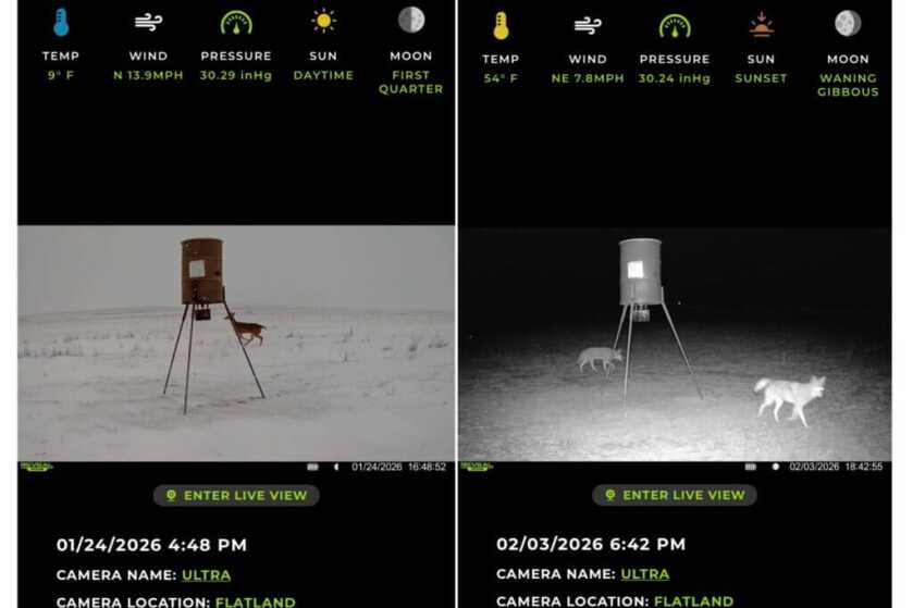 Tactacam REVEAL app interface showing weather data and scouting information