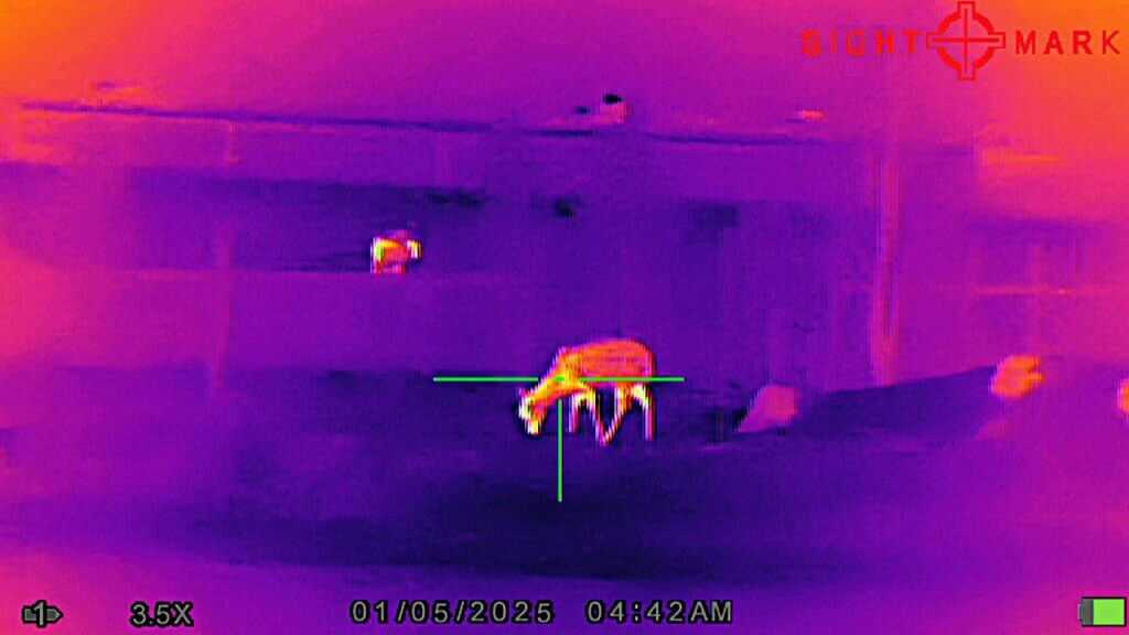 Doe at 140 yards viewed through the Sightmark Shade thermal scope at night