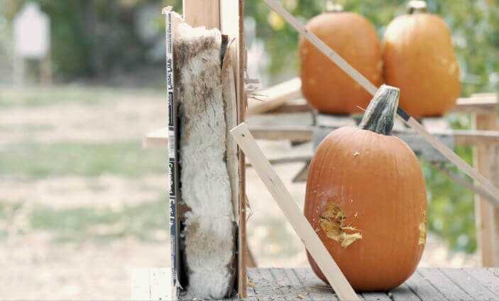 Buckshot through drywall, insulation, plywood, and pumpkin!