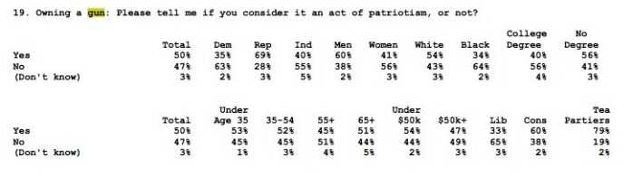 Breakdown of results on whether owning a firearm is patriotic.  (Photo: Fox News)