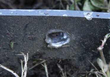 Steel Target Torture - Action Targets PT Tactical Torso One of the legs intentionally shot for demonstration. Don't do this at home!