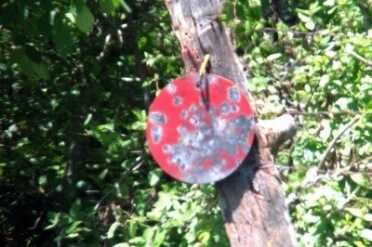 From more than 100 yards, this 12" plate is easy to see in incredible detail. 