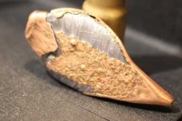 .416 Single Stack AR Round - The Hushpuppy--SHOT Show 2015 This one punched through a bunch of hay bales and smacked a concrete wall.