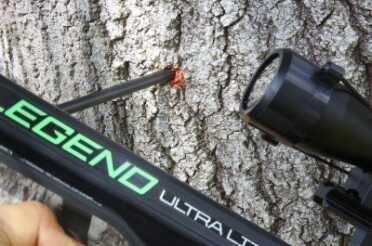 Prepping 101: The Silent Kill - But NOT a Silencer! I would never tell anyone to bring a crossbow to a gunfight, but a high end crossbow has a ton of killing power. This is sunk into an oak tree from 50 yards.