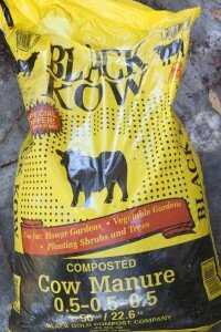 But if you have good drainage and you keep the blocks moist but not soaked, any soil mix will work. 