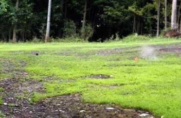 why Sporting Clays is one of America’s fastest growing sports. Yours truly misses a rabbit. These rabbits are true pairs moving right to left. You generally shoot the rear target first and sweep through the front target. They look easy but can be challenging, especially when they hit a bump and jump.