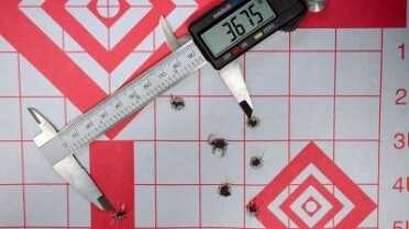 At 100 yards, the same Herter's ammo opened up to almost 4", but bear in mind that is with an unmagnified red dot.