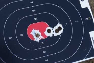 The sights make accurate shot placement easy.