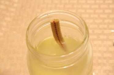 I personally have had fits with keeping wick lanterns lit in extreme cold in the Boston area, but for these tests I couldn't get diesel to gel in my freezer to the point where it wouldn't reliably wick in a 1/2" cotton wick. 