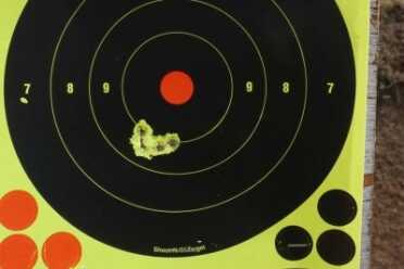 Standing, with the gun braced with the sling, from 7 meters. Iron sights.