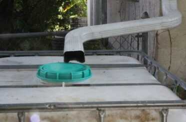 This is my rudimentary rainwater collection system. I put gutters on my house, and the downspout empties directly into an IBC tote. 