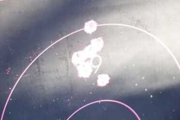 My accuracy suffered using gloves as I lost some trigger control. This was not the fault of the Walther but simply a trade-off of keeping my hands warm.