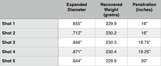Sig Sauer 45 V-Crown Expansion