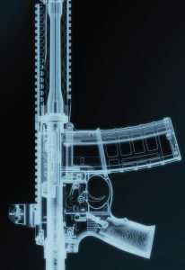 Image courtesy of Daniel Defense.