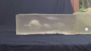 Winchester 223 temporary one cavity flame beginning to form at rear of temporary cavity.