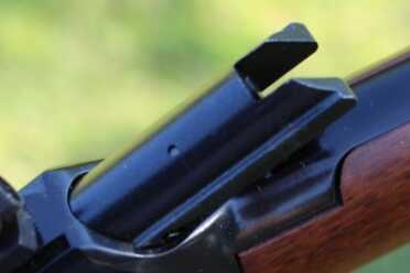 Henry's .22 Magnum Small Game Exterminators Even the bolt is blued.