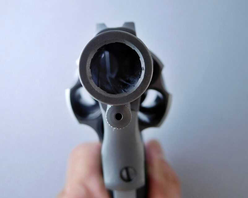 Gun Review: A Pocket-Sized .44! Charter Arms 5-Shot Boomer Charter Arms Boomer (6)