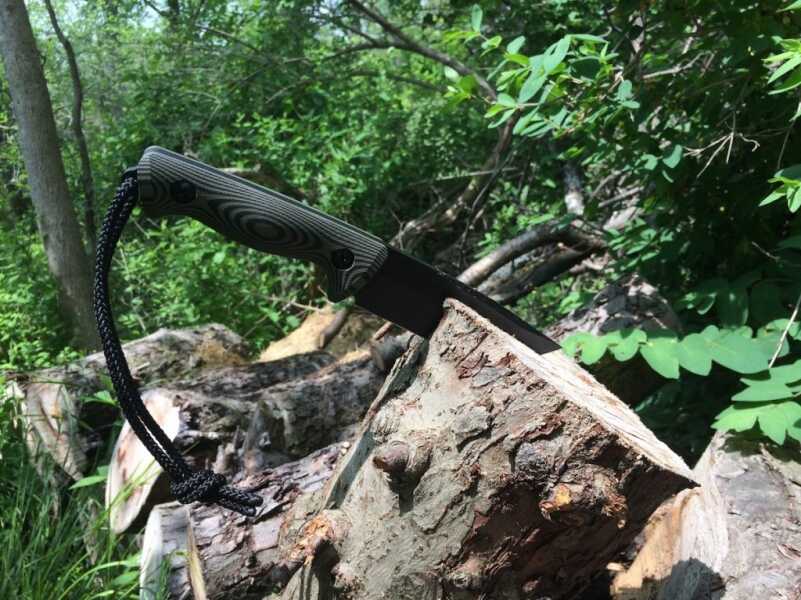 Pounded into a large log. The Tass is no worse for the wear. 