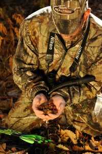 Deer Camp: Top Four Tips to Scouting Now for Deer Season Success Acorns are one of the biggest draws for deer when available. Find a tree dropping oaks and you have found a hunting hot spot.