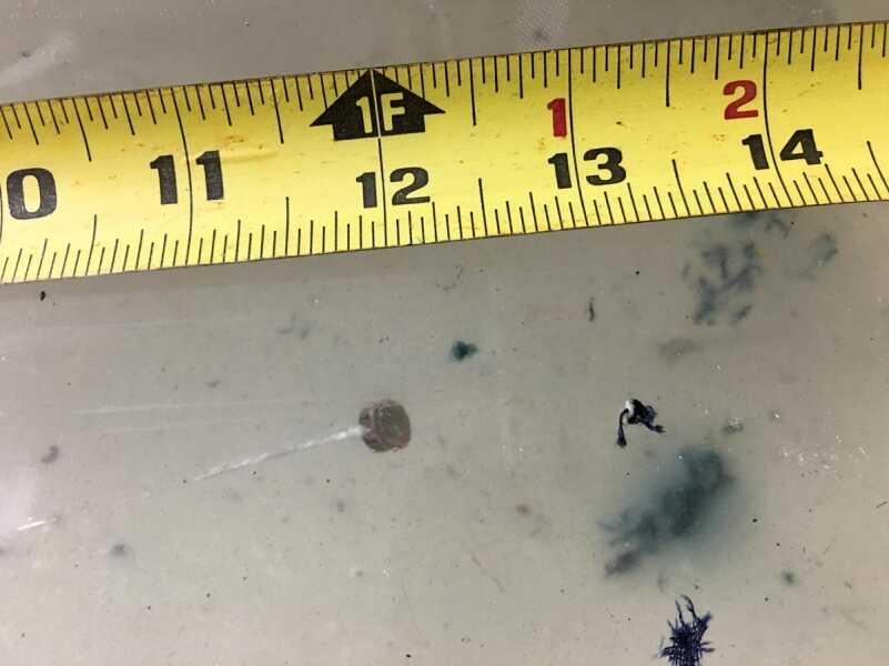 The 30.1-grain base of the 9mm bullet penetrated to just under 12 inches. 