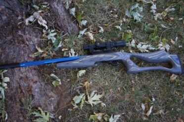 A .22 is a perfect gun to beautify. 