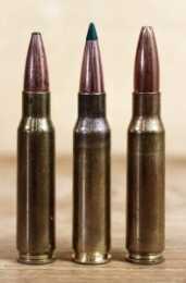Brothers In Arms: Understanding Famous Ammo Family Trees The .308 Winchester is at home as a target gun as well as a hunting round.