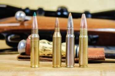 Brothers In Arms: Understanding Famous Ammo Family Trees The .308 and descendants: L-R .308 Win., .243 Winchester, .338 Federal and .358 Winchester.