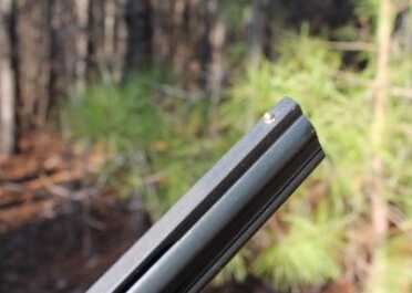 A Sub-0 Over-Under Shotgun? The Stevens 555—Full Review.