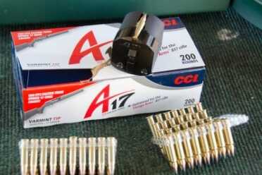 New Savage B Series Bolt-Action Rimfires: B17 FV in .17 HMR—Full Review. New Savage B Series Bolt-Action Rimfires: B17 FV in .17 HMR—Full Review.