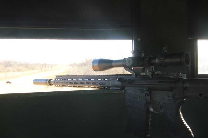 Big Boar Buster: Going Hog Wild with the New Savage MSR 10 Long Range .308
