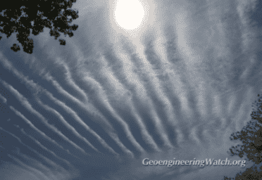 Prepping 101: Buying/Mining Bitcoin vs. Gold & Silver Prepping 101: Buying/Mining Bitcoin vs. Gold & Silver