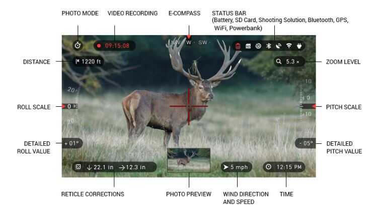 Digital Night Vision Scope for 9? Hog Hunting with the ATN X-Sight II HD - Full Review