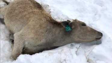 Prepping 101: Buying/Mining Bitcoin vs. Gold & Silver Prepping 101: Buying/Mining Bitcoin vs. Gold & Silver